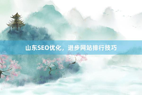 山东SEO优化，进步网站排行技巧