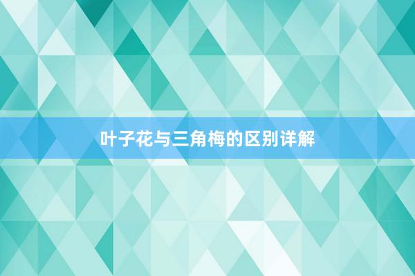 叶子花与三角梅的区别详解
