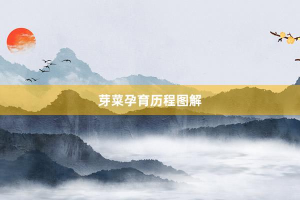 芽菜孕育历程图解