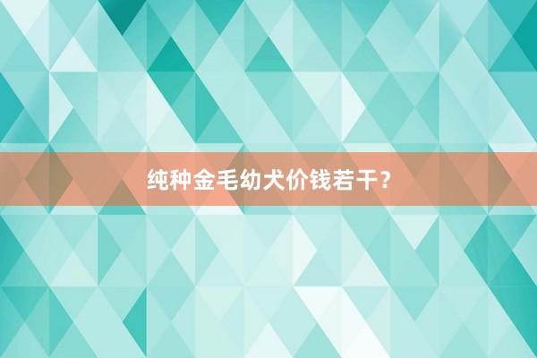 纯种金毛幼犬价钱若干？