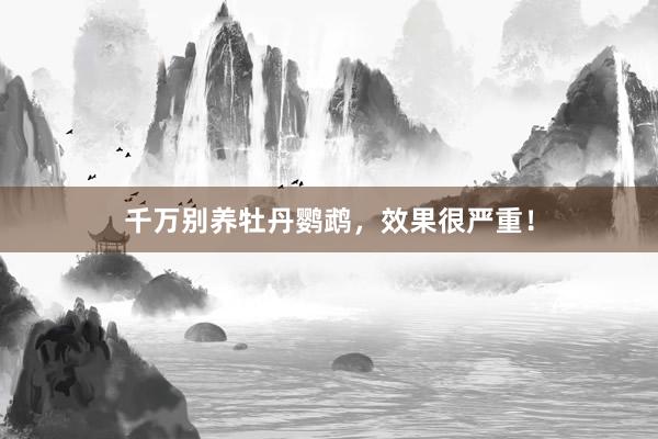 千万别养牡丹鹦鹉，效果很严重！